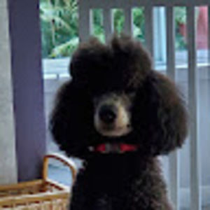 Meet your Posher, Deborah